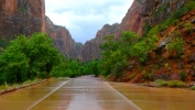 PICTURES/Zion Scenic Drive/t_Big Bend2.JPG